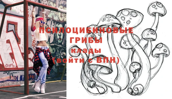 jwh Аркадак
