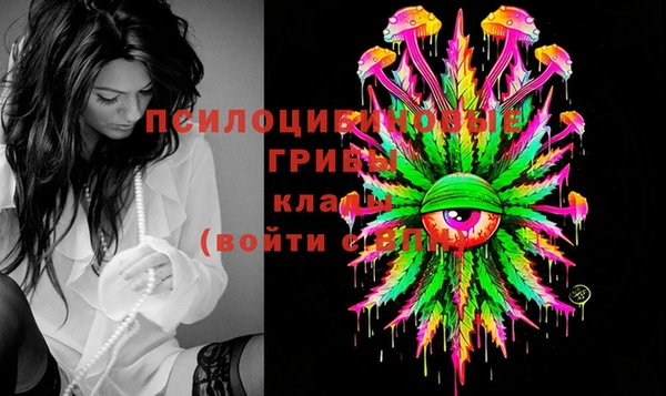 jwh Аркадак