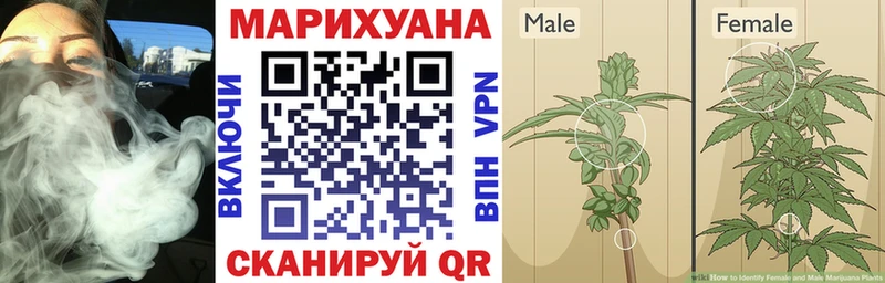 Канабис план  Талица 
